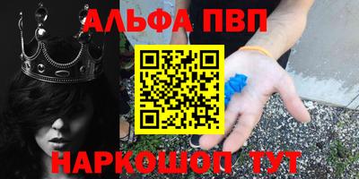 крисы Славгород