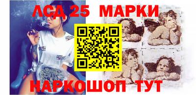 крисы Славгород