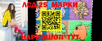 крисы Славгород