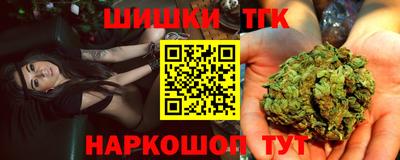 крисы Славгород