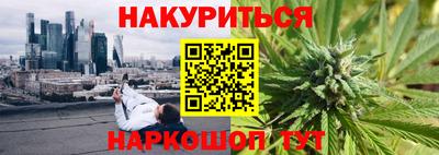 крисы Славгород