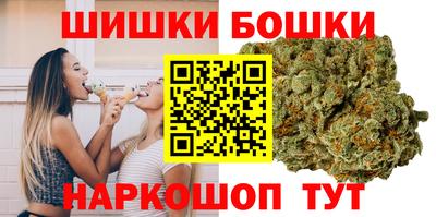 крисы Славгород
