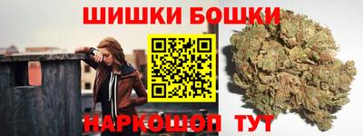 крисы Славгород
