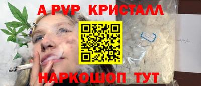 крисы Славгород