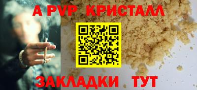 крисы Славгород