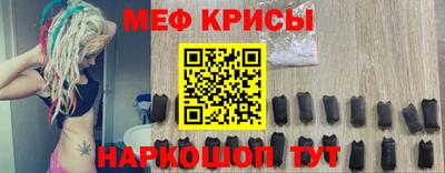 крисы Славгород
